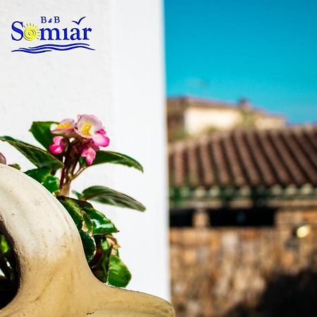 B&B Somiar San Teodoro  Ngoại thất bức ảnh
